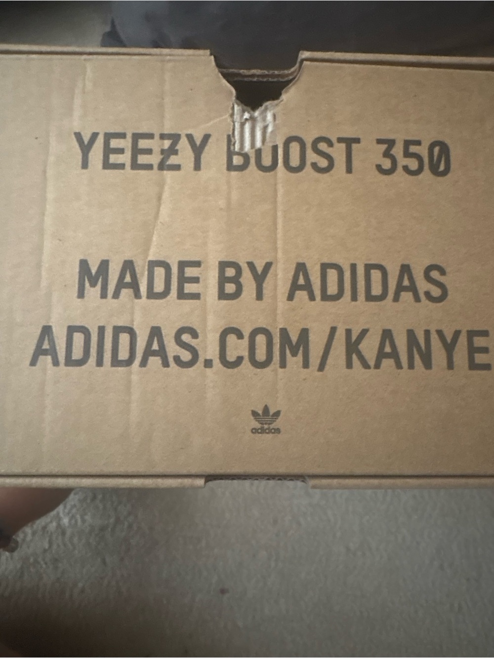 Yeezy shoes Cream Knit Low-Top Sneakers - Picture 10 of 10